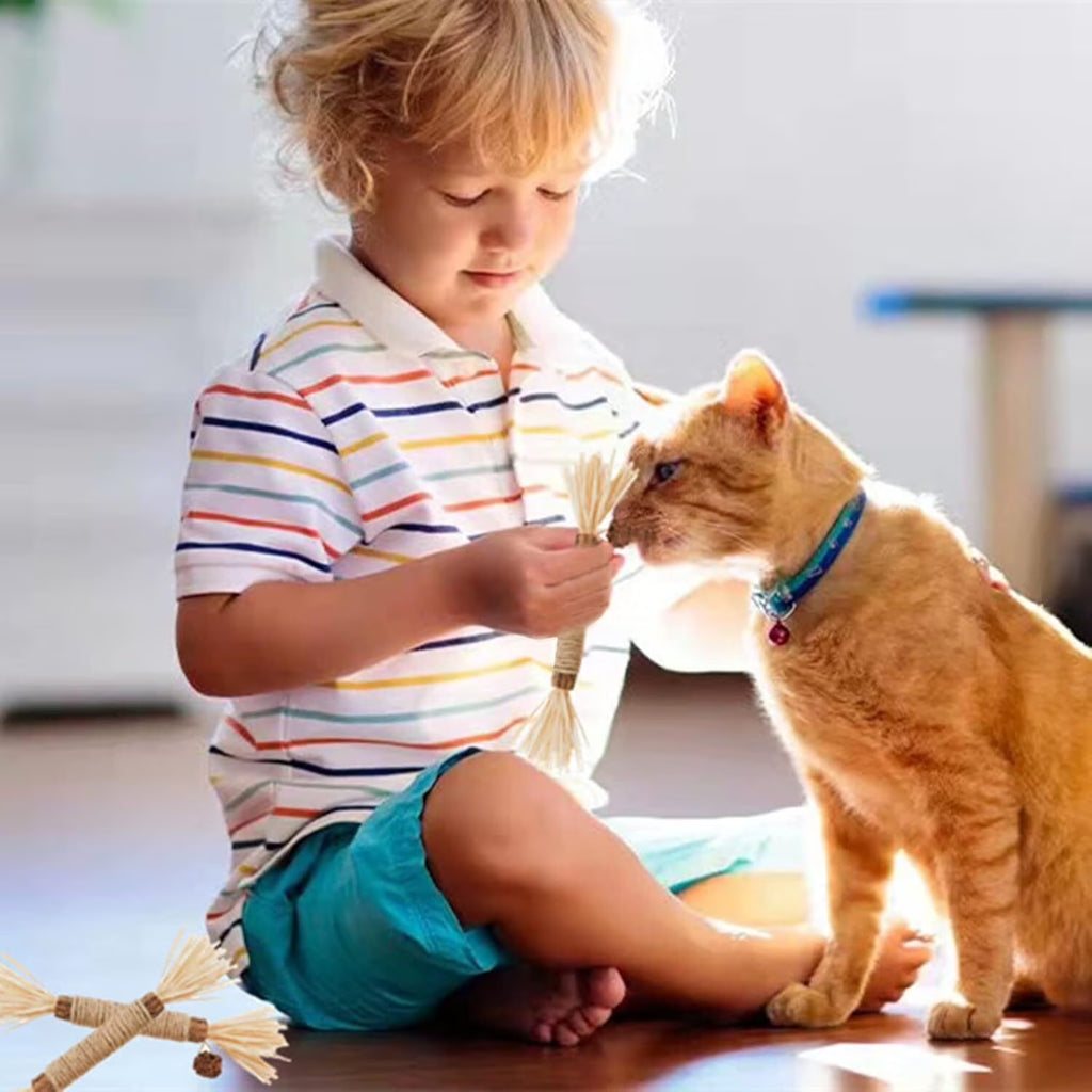 3Pcs Silvervine Chew Stick Kitten Treat Catnip Toy Kitty Natural Stuff Catnip for Cleaning Teeth Indoor Dental Snack Interactive
