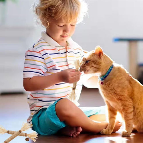 3Pcs Silvervine Chew Stick Kitten Treat Catnip Toy Kitty Natural Stuff Catnip for Cleaning Teeth Indoor Dental Snack Interactive