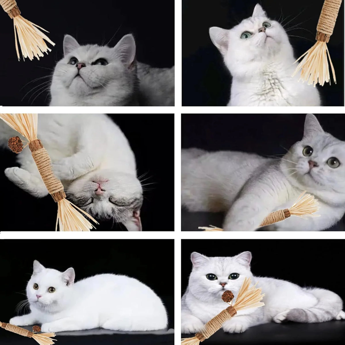 3Pcs Silvervine Chew Stick Kitten Treat Catnip Toy Kitty Natural Stuff Catnip for Cleaning Teeth Indoor Dental Snack Interactive