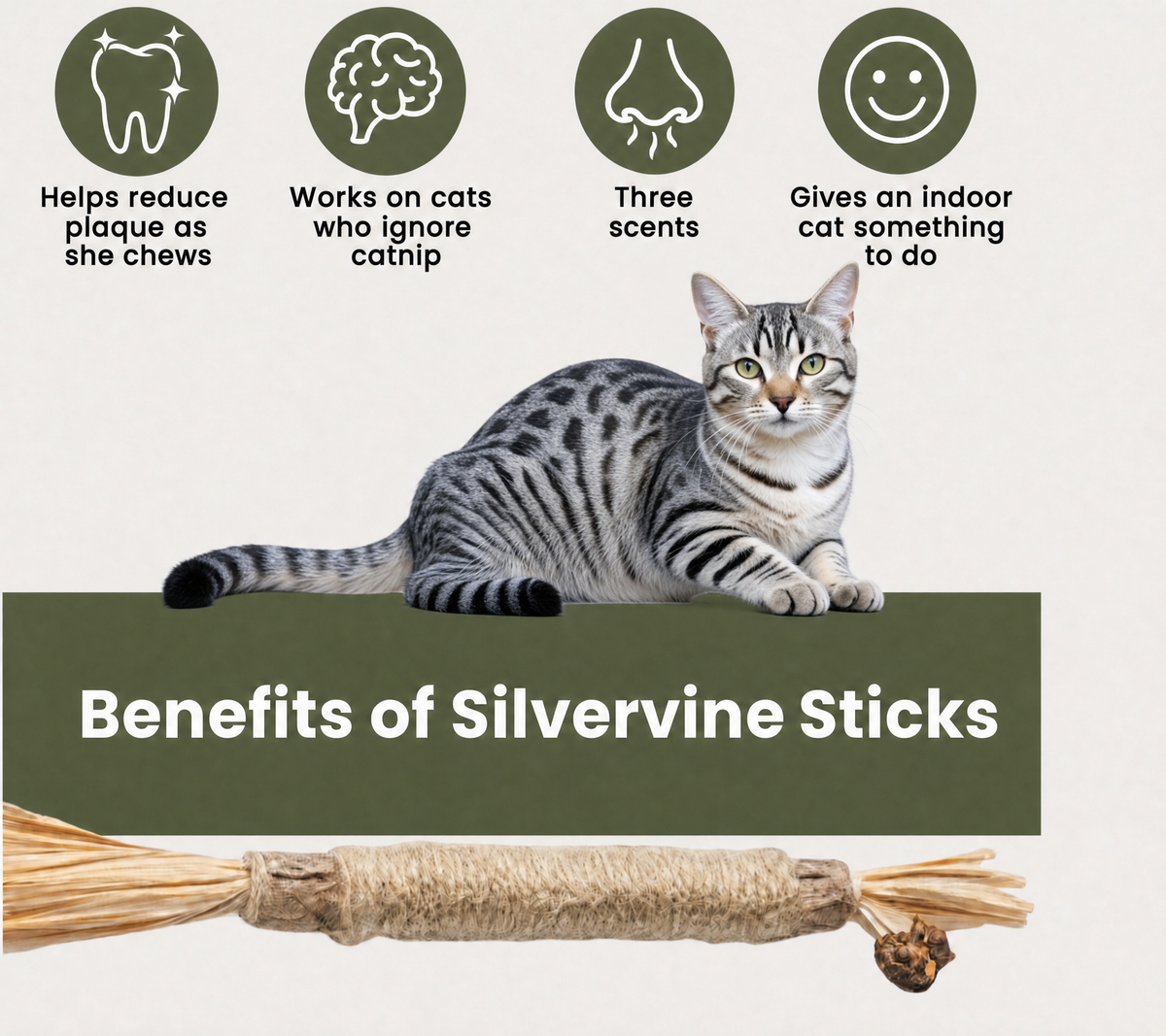 Purrvine- Silvervine Dental Chew Sticks with Catnip, 10 Count