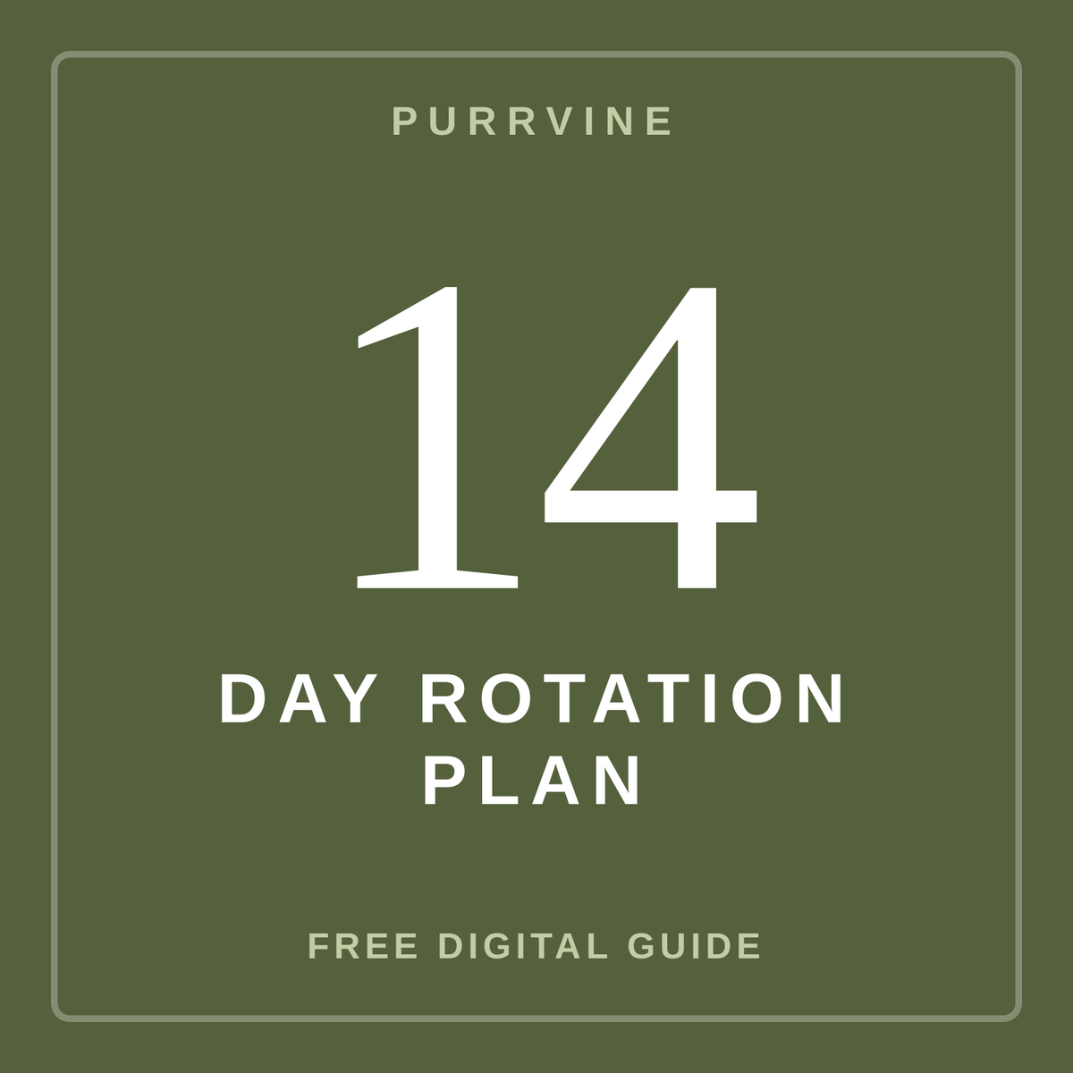 The 14-Day Rotation Plan (Digital Guide)