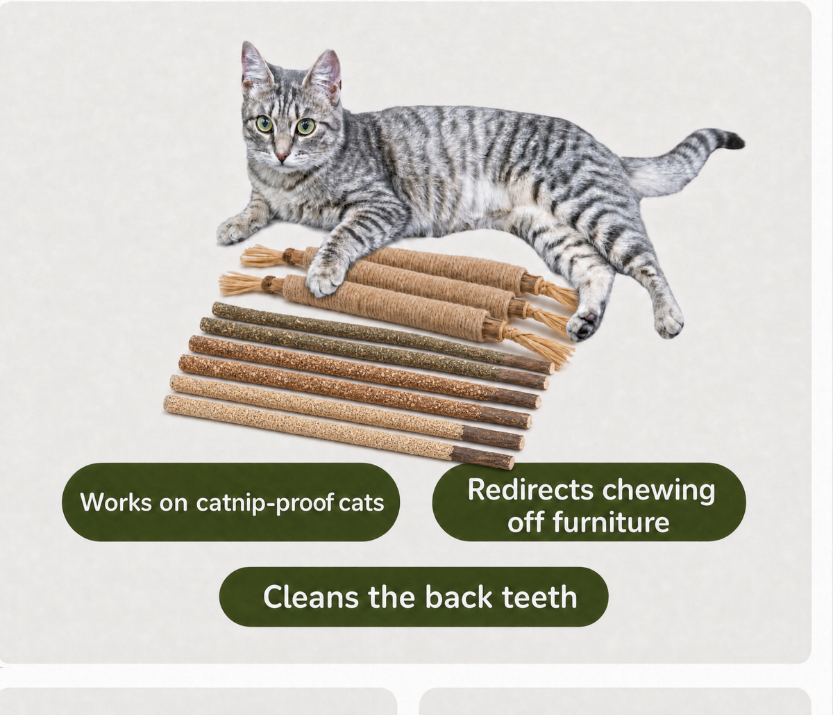 Purrvine- Silvervine Dental Chew Sticks with Catnip, 10 Count