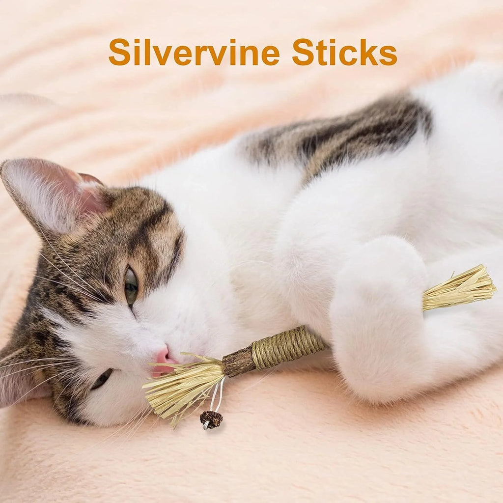 3Pcs Silvervine Chew Stick Kitten Treat Catnip Toy Kitty Natural Stuff Catnip for Cleaning Teeth Indoor Dental Snack Interactive