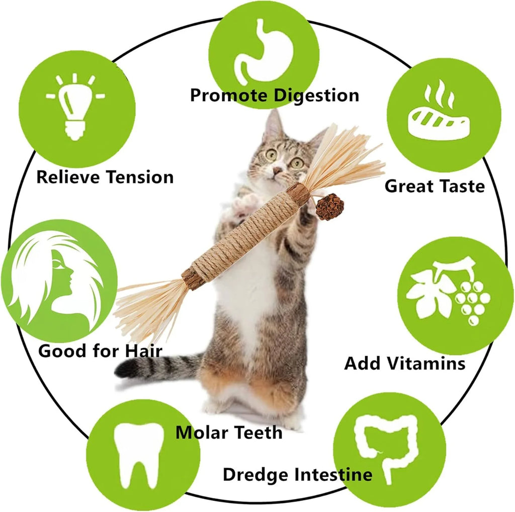 3Pcs Silvervine Chew Stick Kitten Treat Catnip Toy Kitty Natural Stuff Catnip for Cleaning Teeth Indoor Dental Snack Interactive