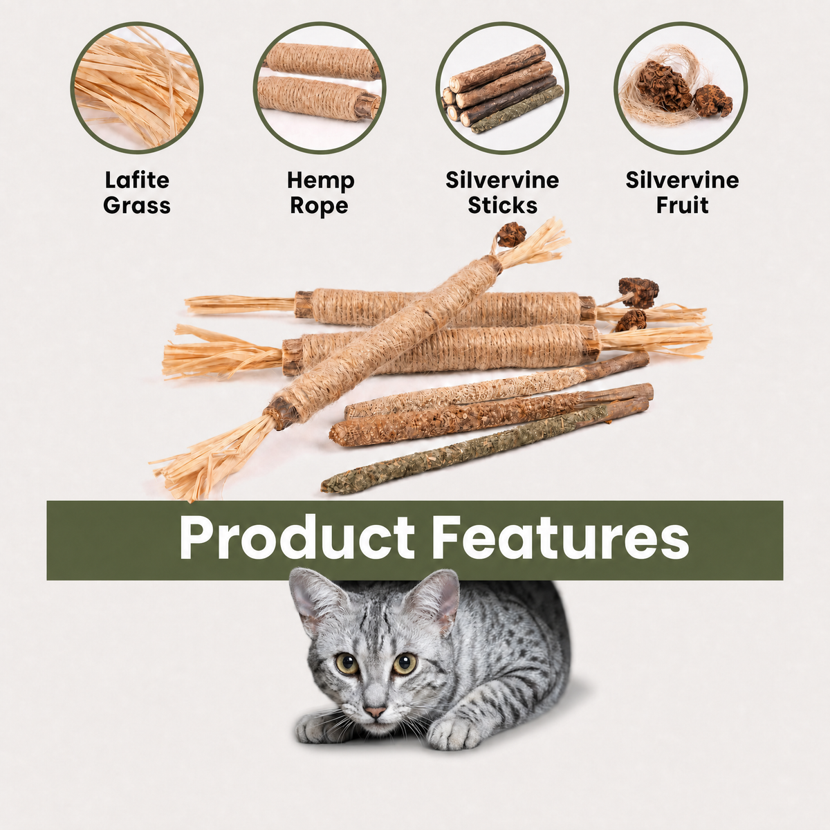 Purrvine- Silvervine Dental Chew Sticks with Catnip, 10 Count